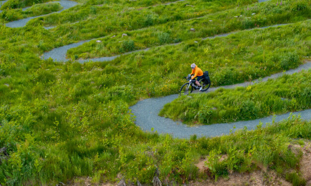 Yes, a gravel bike with bags can handle 7Stanes MTB trail