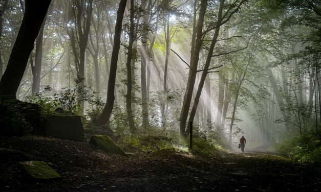 FINALIST: Travel Photographer of the Year 2024